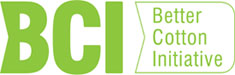 bci